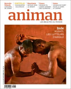 Logo Animan Magazine