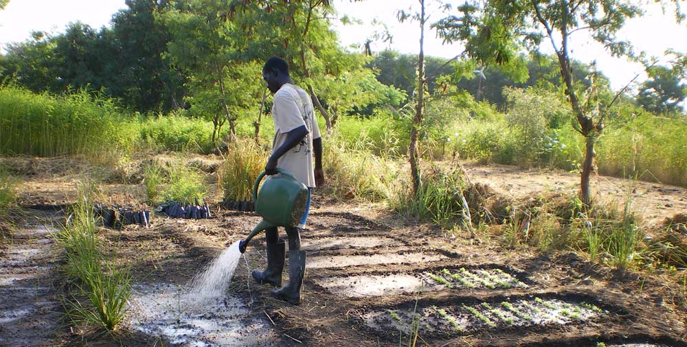 Agroecologie initiée par Pierre Rabhi