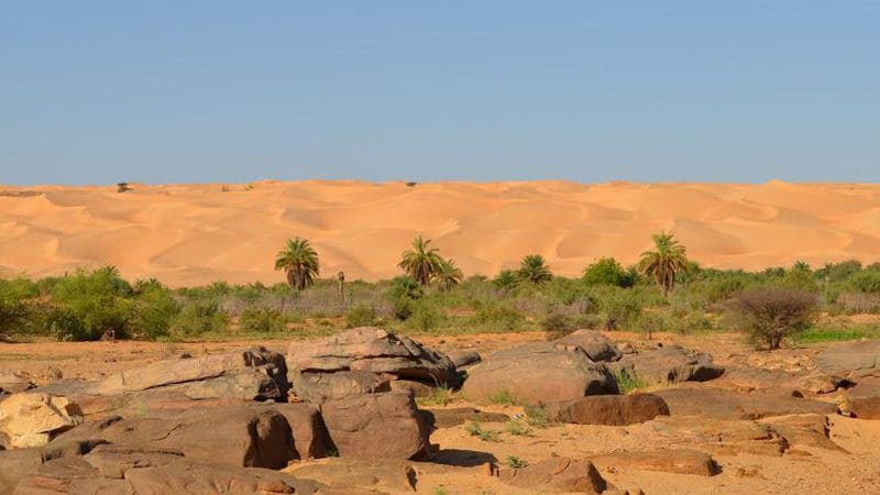 Le village pilote de Pierre Rabhi en mauritanie: Maaden El Ervane