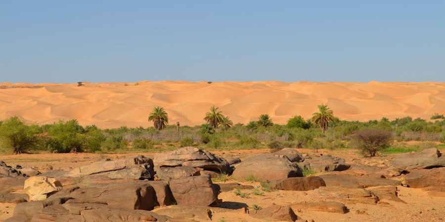 Le village pilote de Pierre Rabhi en mauritanie: Maaden El Ervane