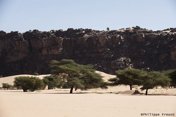 Oued El Abiod