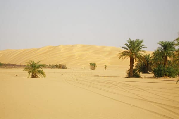 Dunes de l'erg Ouarane - Adrar mauritanien