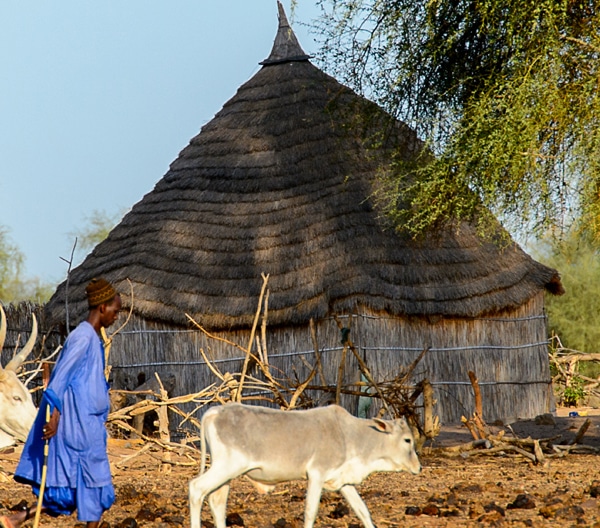 Village peul rive fleuve sénégal