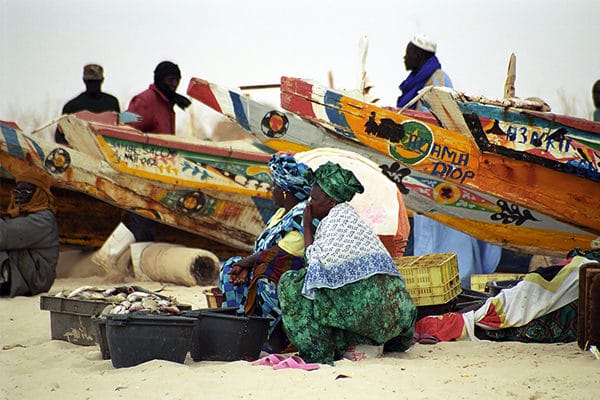 Pinasse rive fleuve sénégal