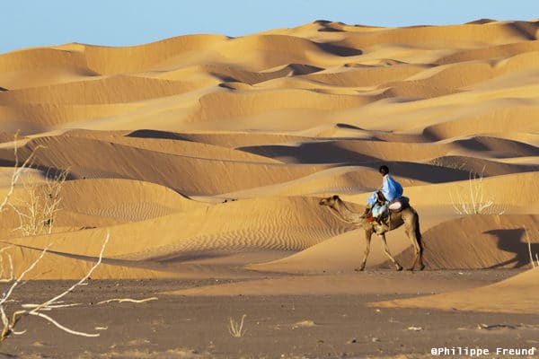 Méharée dunes Tagant