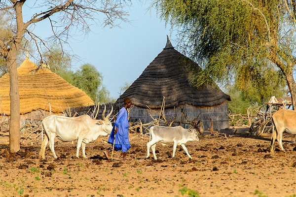 villages peulh en Afrique