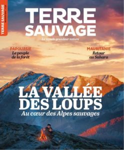 Terre Sauvage: Mauritanie, retour dans le Sahara