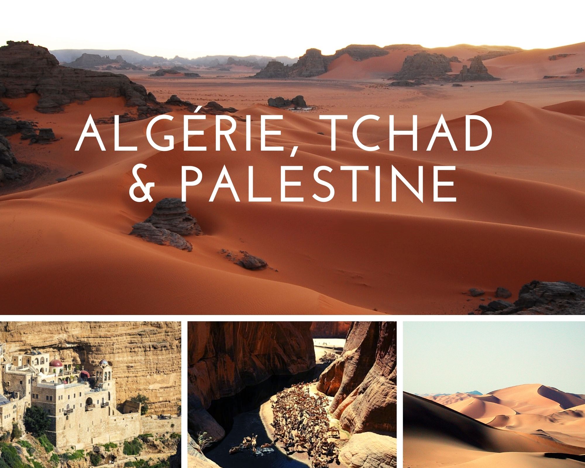 Header Algerie, tchad et palestine