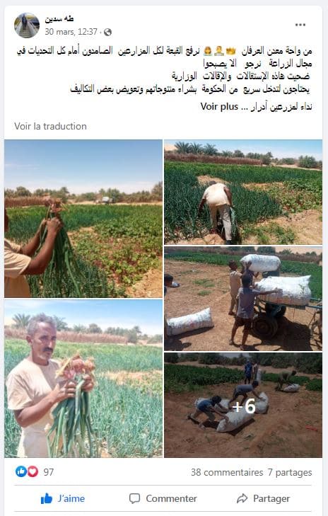 Facebook Taha Sidina - photos des jardins de Maaden