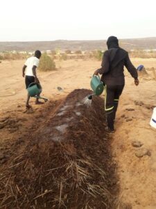 Gestion et développement de l'usage du compost à Maaden