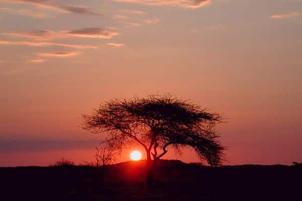Coucher de soleil dans la Tadrart-Point-Afrique