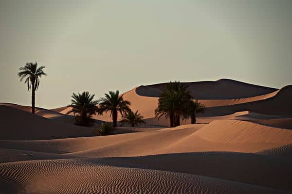 Dunes désert Timimoun - Circuit Timimoun, la route des ksour - Point-Afrique