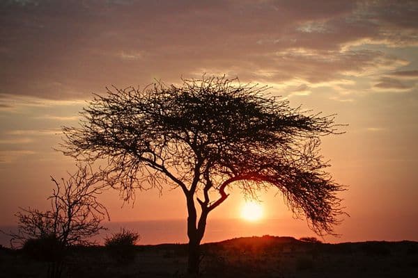 Coucher de soleil désert- Circuit Tadrart en 4x4 - Point-Afrique