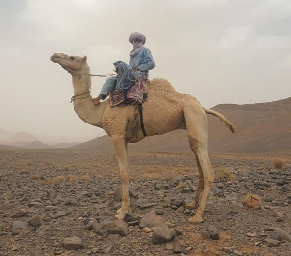 Touareg sur son chameau Assekrem - Rando chameliere Point-Afrique Voyages