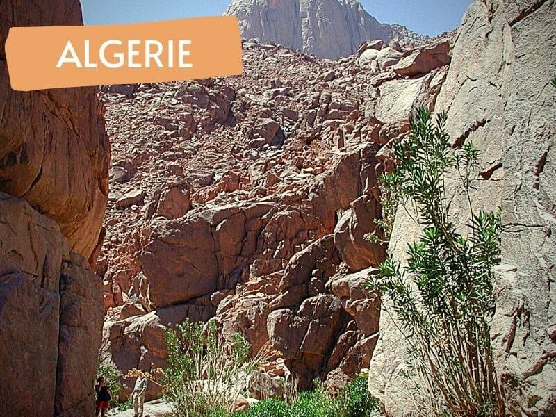 Circuit Tefedest et Garet El Djenoun en rando chameliere - Point-Afrique