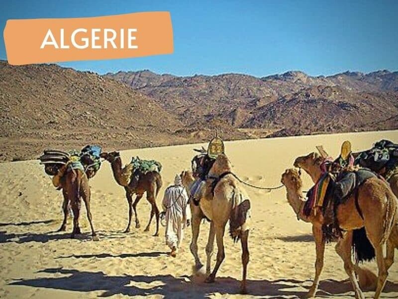 Circuit Tefedest et Garet El Djenoun en rando chameliere - Point-Afrique