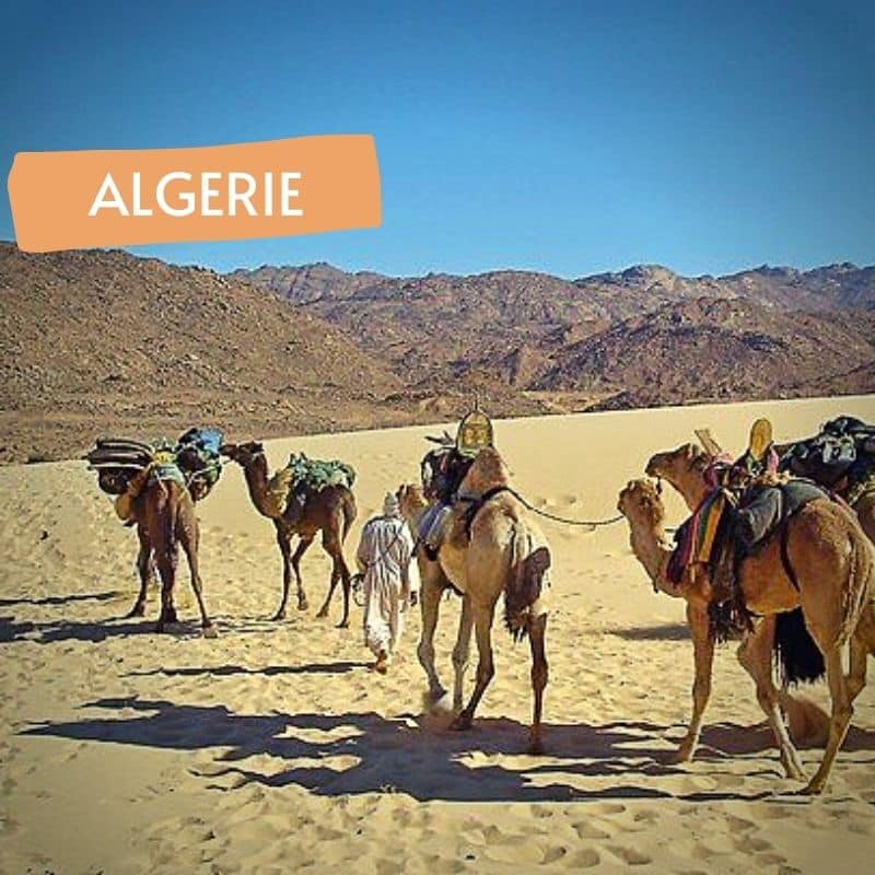 Circuit Tefedest et Garet El Djenoun en rando chameliere - Point-Afrique