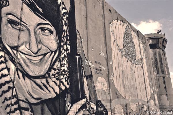 Dessin Mur de la honte en Palestine - Itinérance et rencontres en Palestine - Point-Afrique Voyages