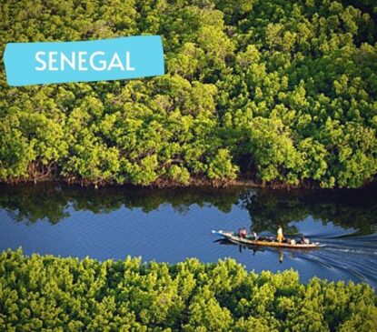 Sine Saloum Senegal-Circuit rando-pirogue dans les bolongs | Point-Afrique