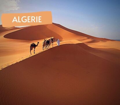 Erg Mehedjibat-Circuit Adrar Ahnet et erg Méhédjibat en rando chameliere - Point-Afrique