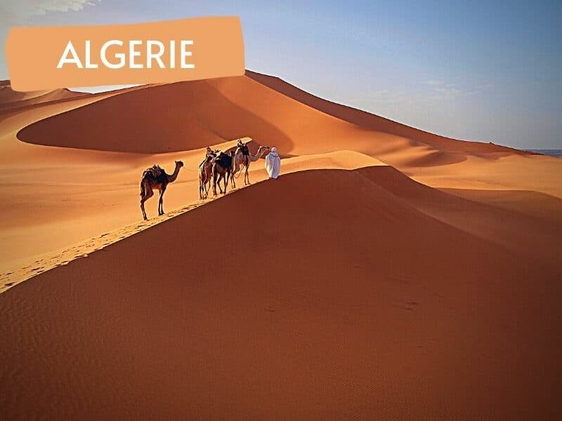 Erg Mehedjibat-Circuit Adrar Ahnet et erg Méhédjibat en rando chameliere - Point-Afrique