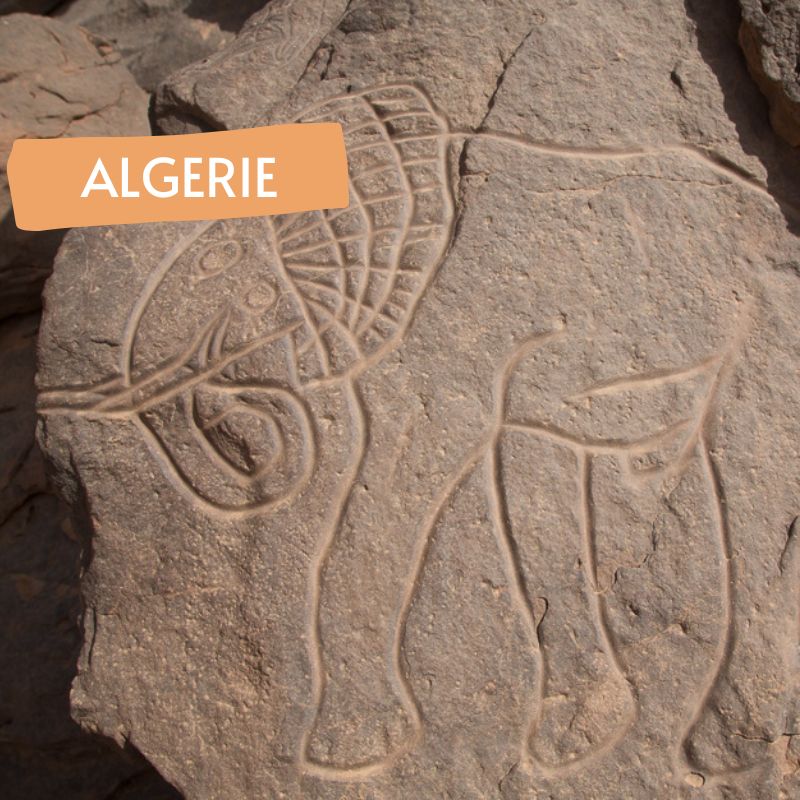 THEMA- Accompagnateur Yves Gauthier - Circuit Exploration Art Rupestre Tassili n'Ajjer en rando chameliere - Point-Afrique