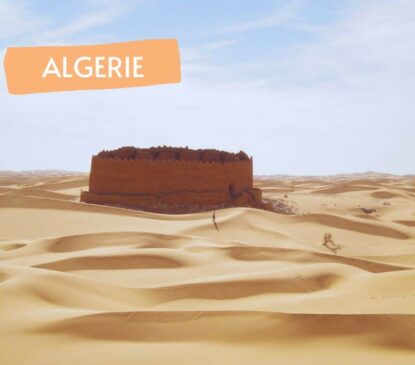 Rando chamelière dans le Tinerkouk depuis Timimoun | Trek Algerie Grand Erg Occidental - Point-Afrique