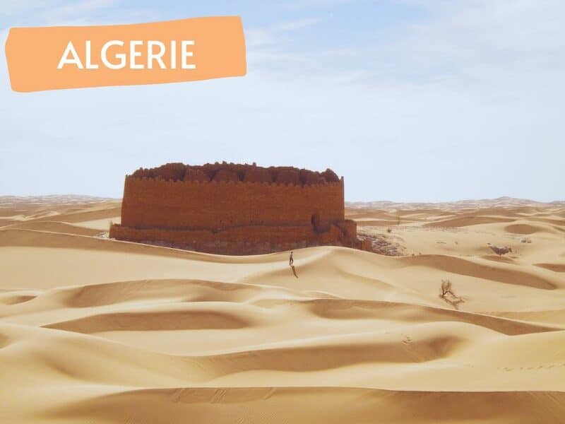 Rando chamelière dans le Tinerkouk depuis Timimoun | Trek Algerie Grand Erg Occidental - Point-Afrique