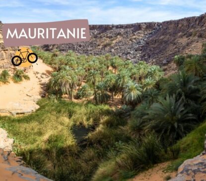 Vallée blanche et oasis de l'adrar en rando chamelière 15j | Aventure Mauritanie Adrar - Point-Afrique
