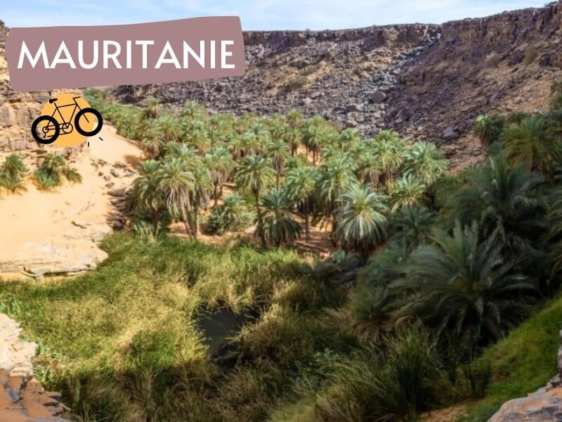Vallée blanche et oasis de l'adrar en rando chamelière 15j | Aventure Mauritanie Adrar - Point-Afrique