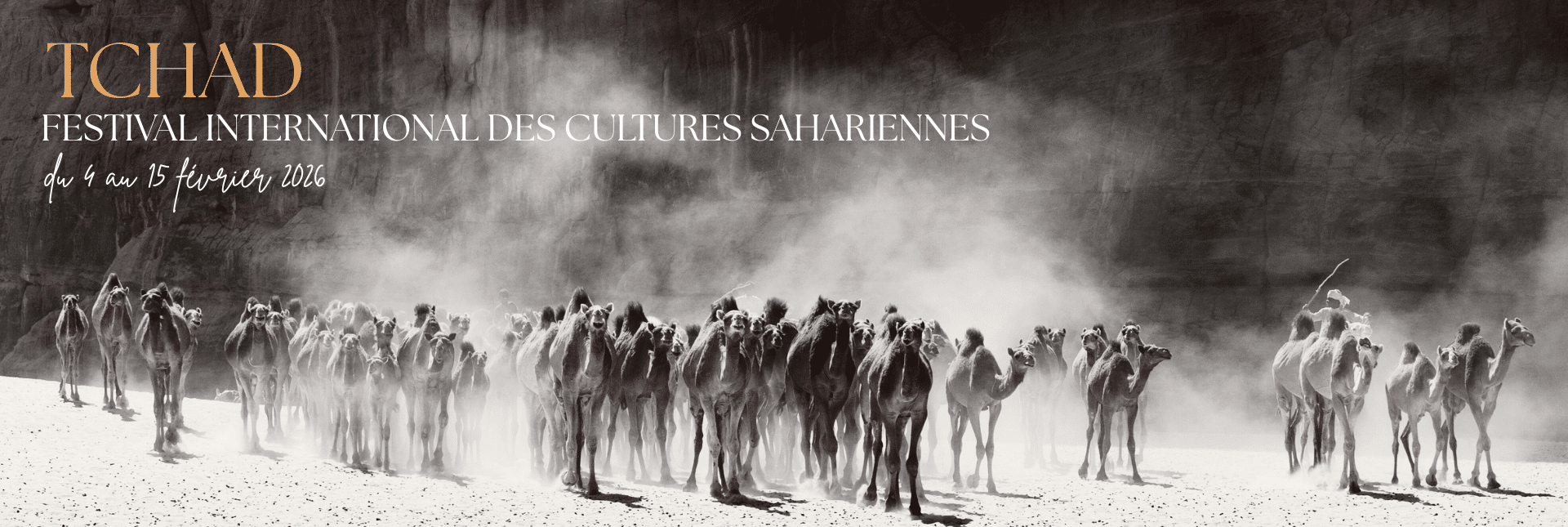 Festival International des cultures sahariennes | Amdjarass 2026 | Tchad | Point-Afrique