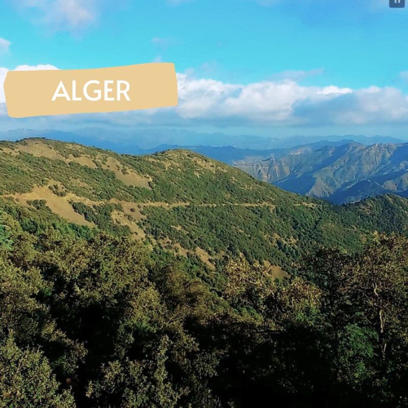 Chréa & Médéa, échappée dans l’Atlas ⋆ Point Afrique Voyages